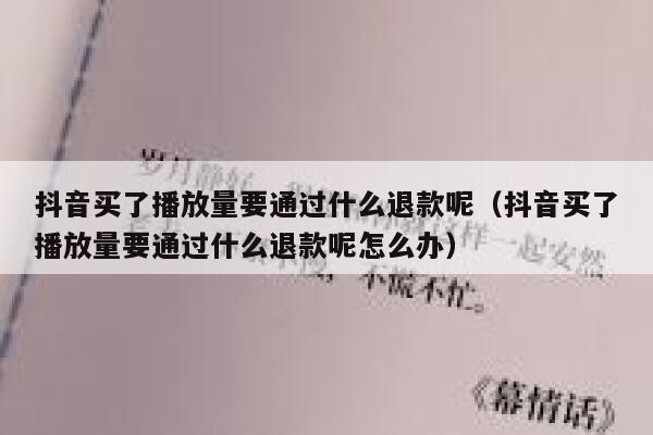 抖音买了播放量要通过什么退款呢(抖音买了播放量要通过什么退款呢怎么办) 第1张 抖音买了播放量要通过什么退款呢(抖音买了播放量要通过什么退款呢怎么办) 第1张