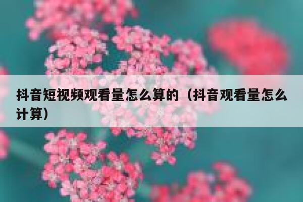 抖音短视频观看量怎么算的(抖音观看量怎么计算) 第1张 抖音短视频观看量怎么算的(抖音观看量怎么计算) 第1张