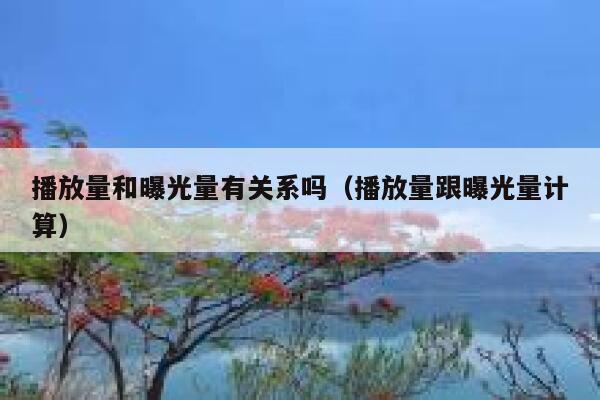 播放量和曝光量有关系吗（播放量跟曝光量计算） 第1张