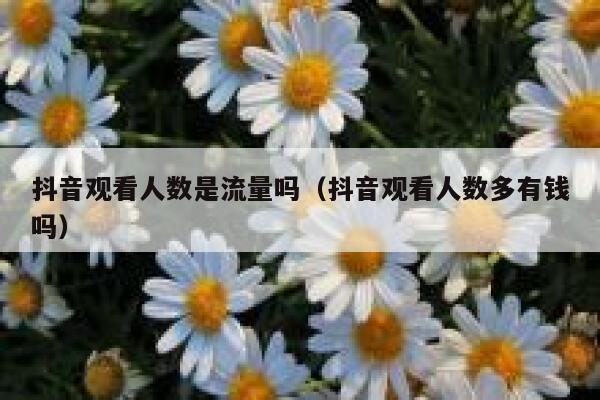 抖音观看人数是流量吗（抖音观看人数多有钱吗） 第1张
