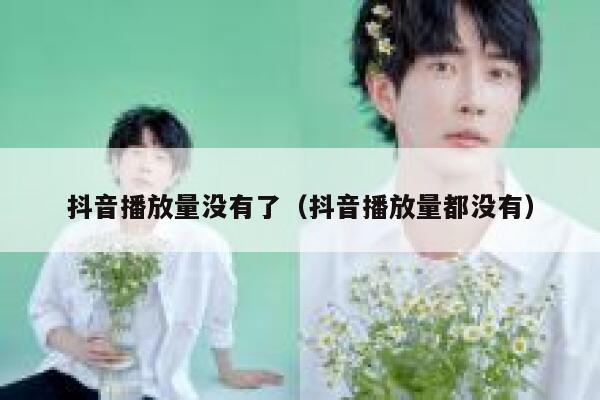 抖音播放量没有了(抖音播放量都没有) 第1张 抖音播放量没有了(抖音播放量都没有) 第1张