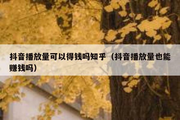 抖音播放量可以得钱吗知乎(抖音播放量也能赚钱吗) 第1张 抖音播放量可以得钱吗知乎(抖音播放量也能赚钱吗) 第1张