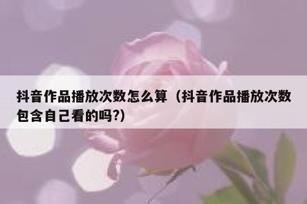 抖音作品播放次数怎么算（抖音作品播放次数包含自己看的吗?） 第1张