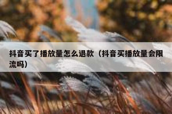 抖音买了播放量怎么退款（抖音买播放量会限流吗） 第1张