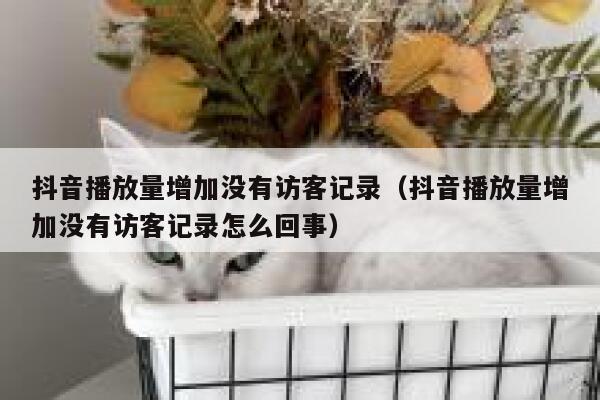 抖音播放量增加没有访客记录（抖音播放量增加没有访客记录怎么回事） 第1张