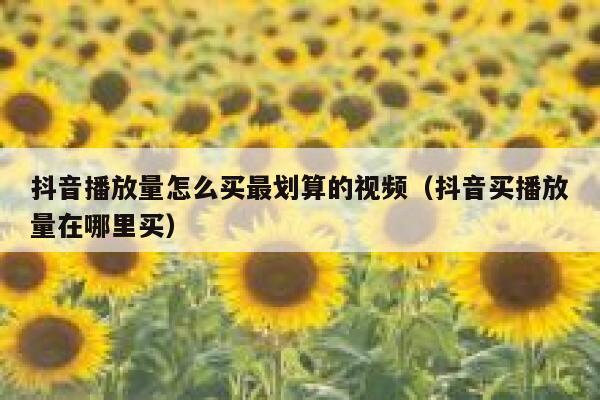 抖音播放量怎么买最划算的视频（抖音买播放量在哪里买） 第1张