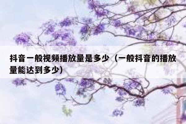 抖音一般视频播放量是多少(一般抖音的播放量能达到多少) 第1张 抖音一般视频播放量是多少(一般抖音的播放量能达到多少) 第1张