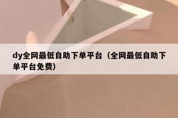 dy全网最低自助下单平台（全网最低自助下单平台免费） 第1张