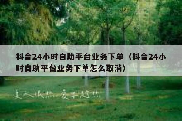 抖音24小时自助平台业务下单（抖音24小时自助平台业务下单怎么取消） 第1张