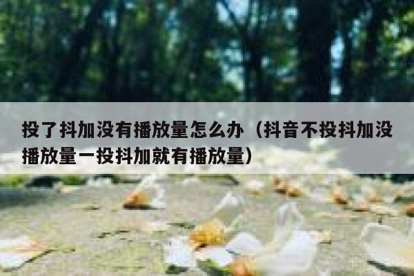 投了抖加没有播放量怎么办(抖音不投抖加没播放量一投抖加就有播放量) 第1张 投了抖加没有播放量怎么办(抖音不投抖加没播放量一投抖加就有播放量) 第1张
