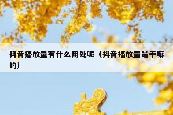 抖音播放量有什么用处呢(抖音播放量是干嘛的) 第1张 抖音播放量有什么用处呢(抖音播放量是干嘛的) 第1张