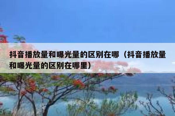 抖音播放量和曝光量的区别在哪(抖音播放量和曝光量的区别在哪里) 第1张 抖音播放量和曝光量的区别在哪(抖音播放量和曝光量的区别在哪里) 第1张