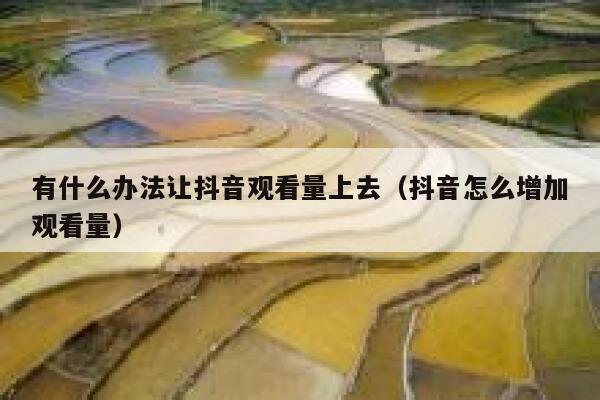 有什么办法让抖音观看量上去(抖音怎么增加观看量) 第1张 有什么办法让抖音观看量上去(抖音怎么增加观看量) 第1张