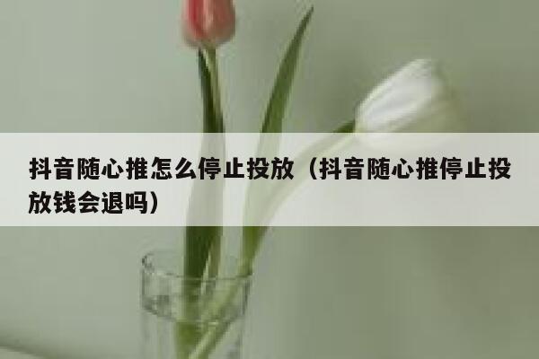 抖音随心推怎么停止投放（抖音随心推停止投放钱会退吗） 第1张