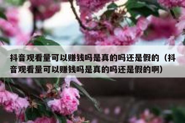 抖音观看量可以赚钱吗是真的吗还是假的（抖音观看量可以赚钱吗是真的吗还是假的啊） 第1张
