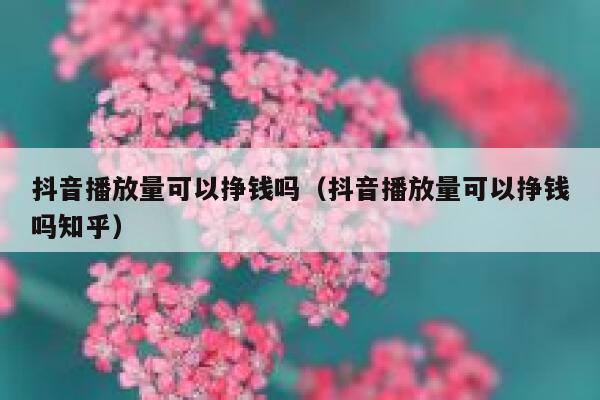 抖音播放量可以挣钱吗（抖音播放量可以挣钱吗知乎） 第1张