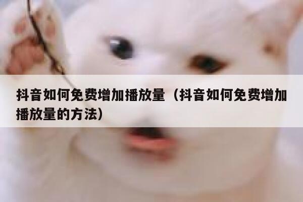 抖音如何免费增加播放量(抖音如何免费增加播放量的方法) 第1张 抖音如何免费增加播放量(抖音如何免费增加播放量的方法) 第1张