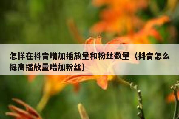 怎样在抖音增加播放量和粉丝数量（抖音怎么提高播放量增加粉丝） 第1张
