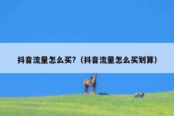 抖音流量怎么买?（抖音流量怎么买划算） 第1张
