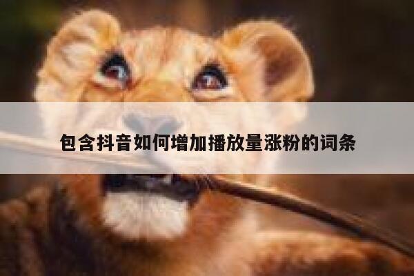 包含抖音如何增加播放量涨粉的词条 第1张 包含抖音如何增加播放量涨粉的词条 第1张
