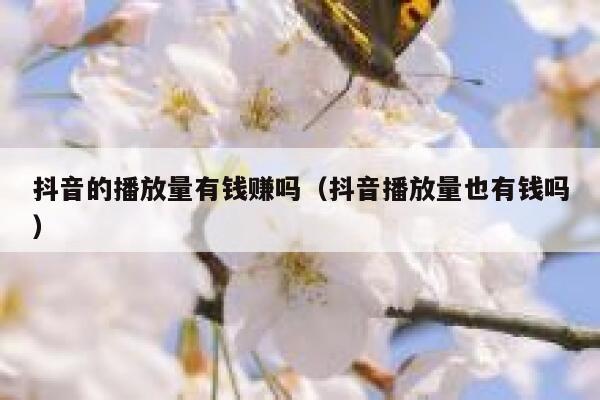 抖音的播放量有钱赚吗（抖音播放量也有钱吗） 第1张