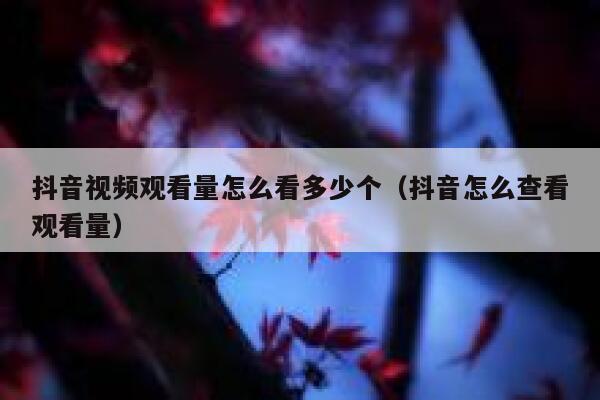 抖音视频观看量怎么看多少个（抖音怎么查看观看量） 第1张