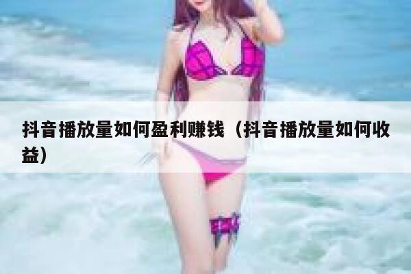 抖音播放量如何盈利赚钱（抖音播放量如何收益） 第1张
