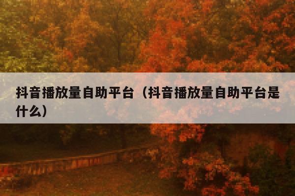抖音播放量自助平台（抖音播放量自助平台是什么） 第1张