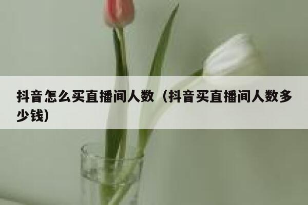 抖音怎么买直播间人数（抖音买直播间人数多少钱） 第1张