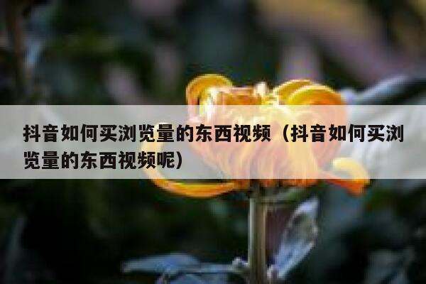 抖音如何买浏览量的东西视频(抖音如何买浏览量的东西视频呢) 第1张 抖音如何买浏览量的东西视频(抖音如何买浏览量的东西视频呢) 第1张