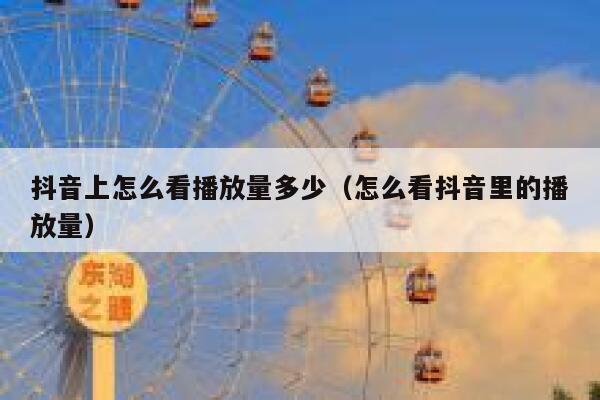 抖音上怎么看播放量多少（怎么看抖音里的播放量） 第1张