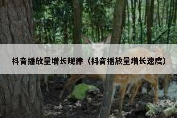 抖音播放量增长规律（抖音播放量增长速度） 第1张
