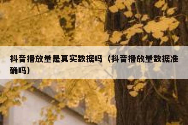 抖音播放量是真实数据吗（抖音播放量数据准确吗） 第1张