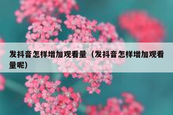 发抖音怎样增加观看量(发抖音怎样增加观看量呢) 第1张 发抖音怎样增加观看量(发抖音怎样增加观看量呢) 第1张