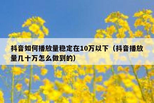 抖音如何播放量稳定在10万以下(抖音播放量几十万怎么做到的) 第1张 抖音如何播放量稳定在10万以下(抖音播放量几十万怎么做到的) 第1张