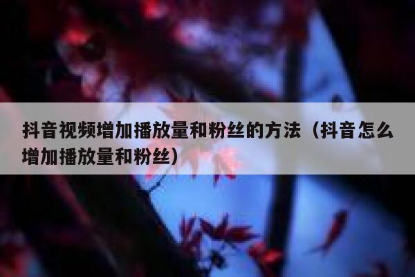 抖音视频增加播放量和粉丝的方法（抖音怎么增加播放量和粉丝） 第1张