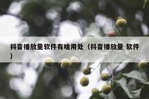 抖音播放量软件有啥用处(抖音播放量 软件) 第1张 抖音播放量软件有啥用处(抖音播放量 软件) 第1张