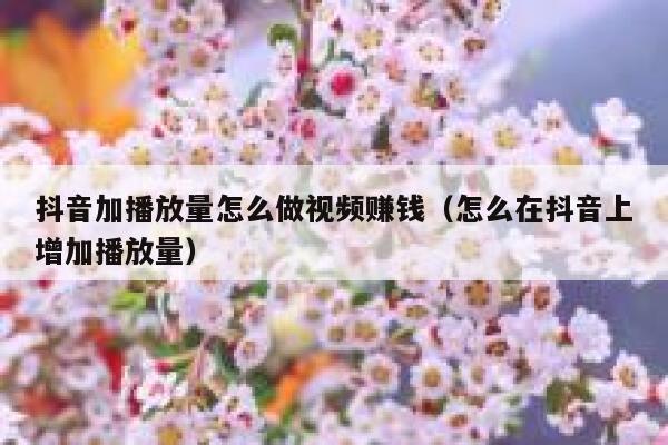 抖音加播放量怎么做视频赚钱(怎么在抖音上增加播放量) 第1张 抖音加播放量怎么做视频赚钱(怎么在抖音上增加播放量) 第1张