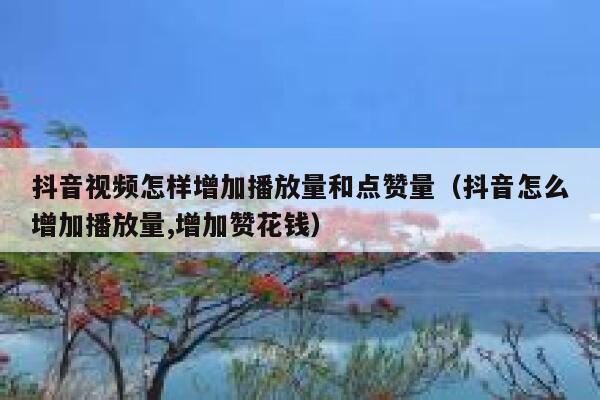 抖音视频怎样增加播放量和点赞量(抖音怎么增加播放量,增加赞花钱) 第1张 抖音视频怎样增加播放量和点赞量(抖音怎么增加播放量,增加赞花钱) 第1张