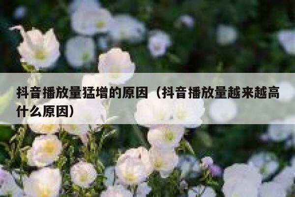 抖音播放量猛增的原因（抖音播放量越来越高什么原因） 第1张