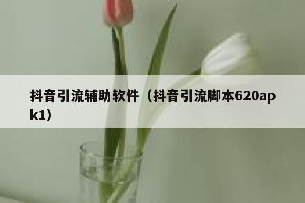 抖音引流辅助软件(抖音引流脚本620apk1) 第1张 抖音引流辅助软件(抖音引流脚本620apk1) 第1张