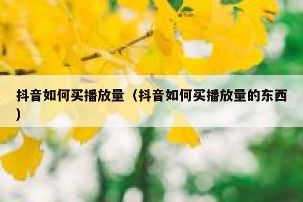 抖音如何买播放量(抖音如何买播放量的东西) 第1张 抖音如何买播放量(抖音如何买播放量的东西) 第1张