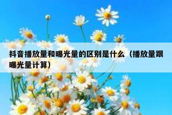 抖音播放量和曝光量的区别是什么(播放量跟曝光量计算) 第1张 抖音播放量和曝光量的区别是什么(播放量跟曝光量计算) 第1张