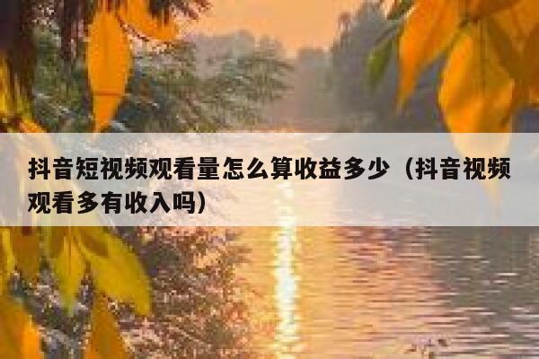 抖音短视频观看量怎么算收益多少（抖音视频观看多有收入吗） 第1张