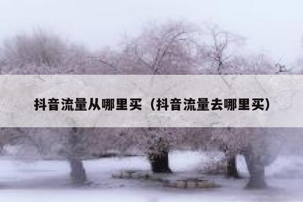 抖音流量从哪里买（抖音流量去哪里买） 第1张