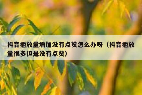 抖音播放量增加没有点赞怎么办呀（抖音播放量很多但是没有点赞） 第1张