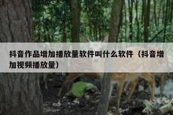 抖音作品增加播放量软件叫什么软件（抖音增加视频播放量） 第1张
