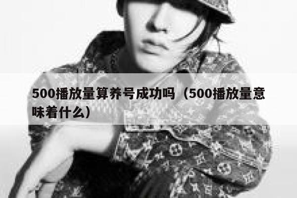 500播放量算养号成功吗（500播放量意味着什么） 第1张