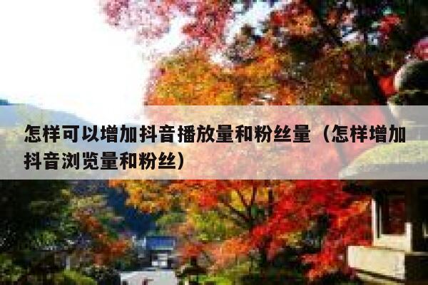 怎样可以增加抖音播放量和粉丝量（怎样增加抖音浏览量和粉丝） 第1张