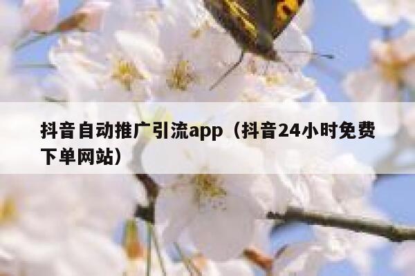 抖音自动推广引流app（抖音24小时免费下单网站） 第1张